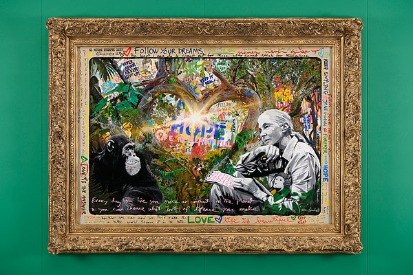 The Mr Brainwash painting Jane Goodall's Light of Life Is Forever, in an ornate gold frame on a green wall