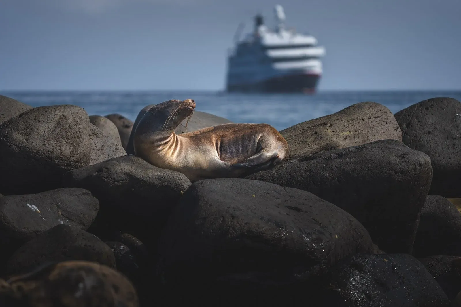 The Galapagos Islands, filmed for Hurtigruten