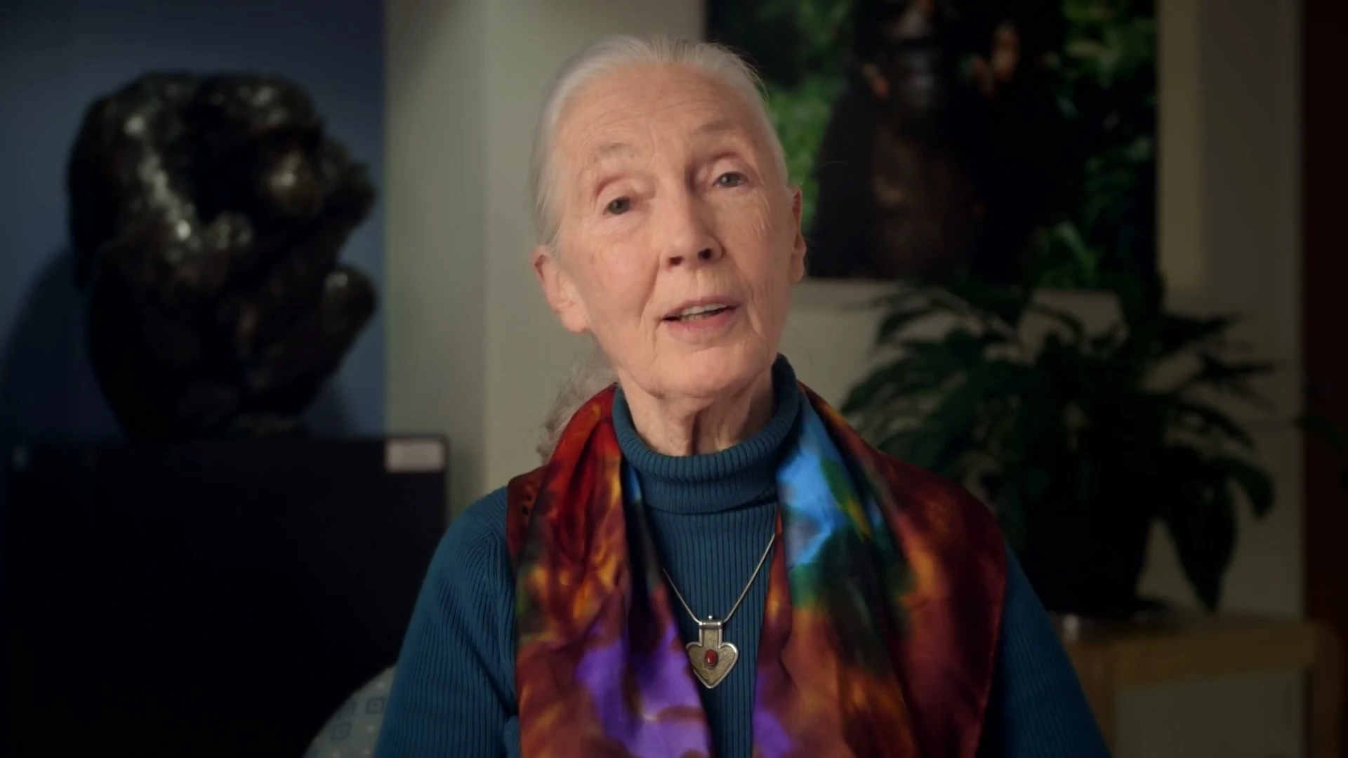 Still from Dr Jane Goodall