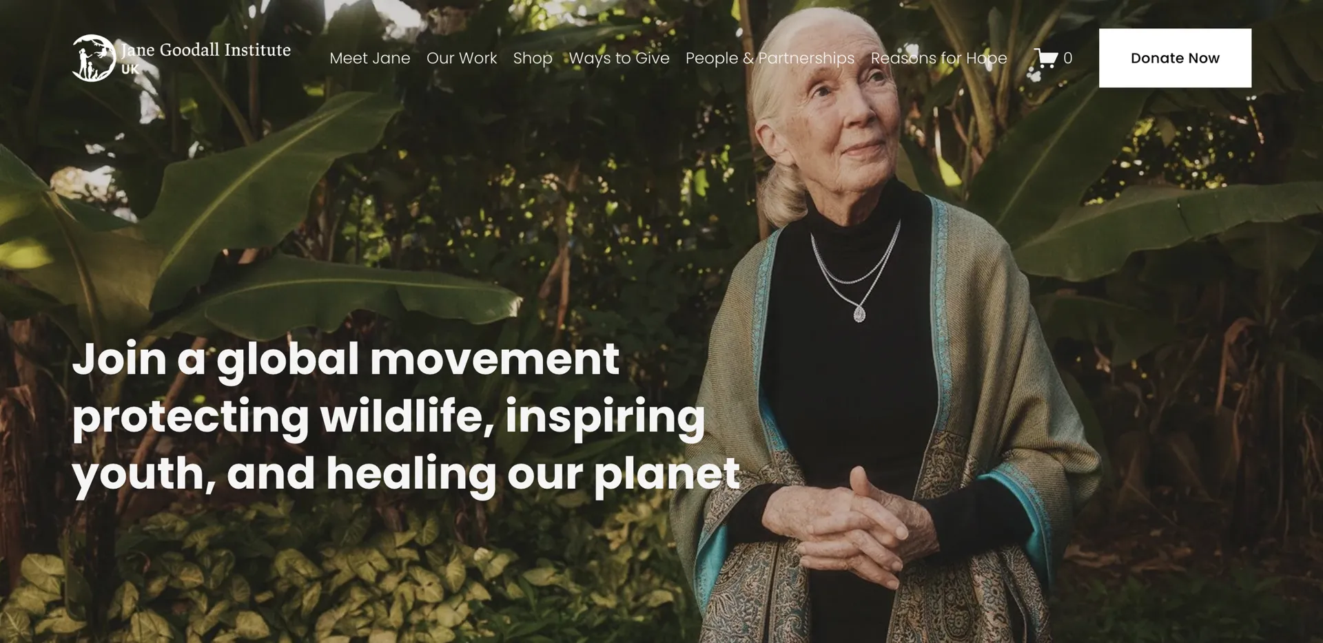 Jane Goodall Institute website with Dr Jane Goodall and its conservation mission