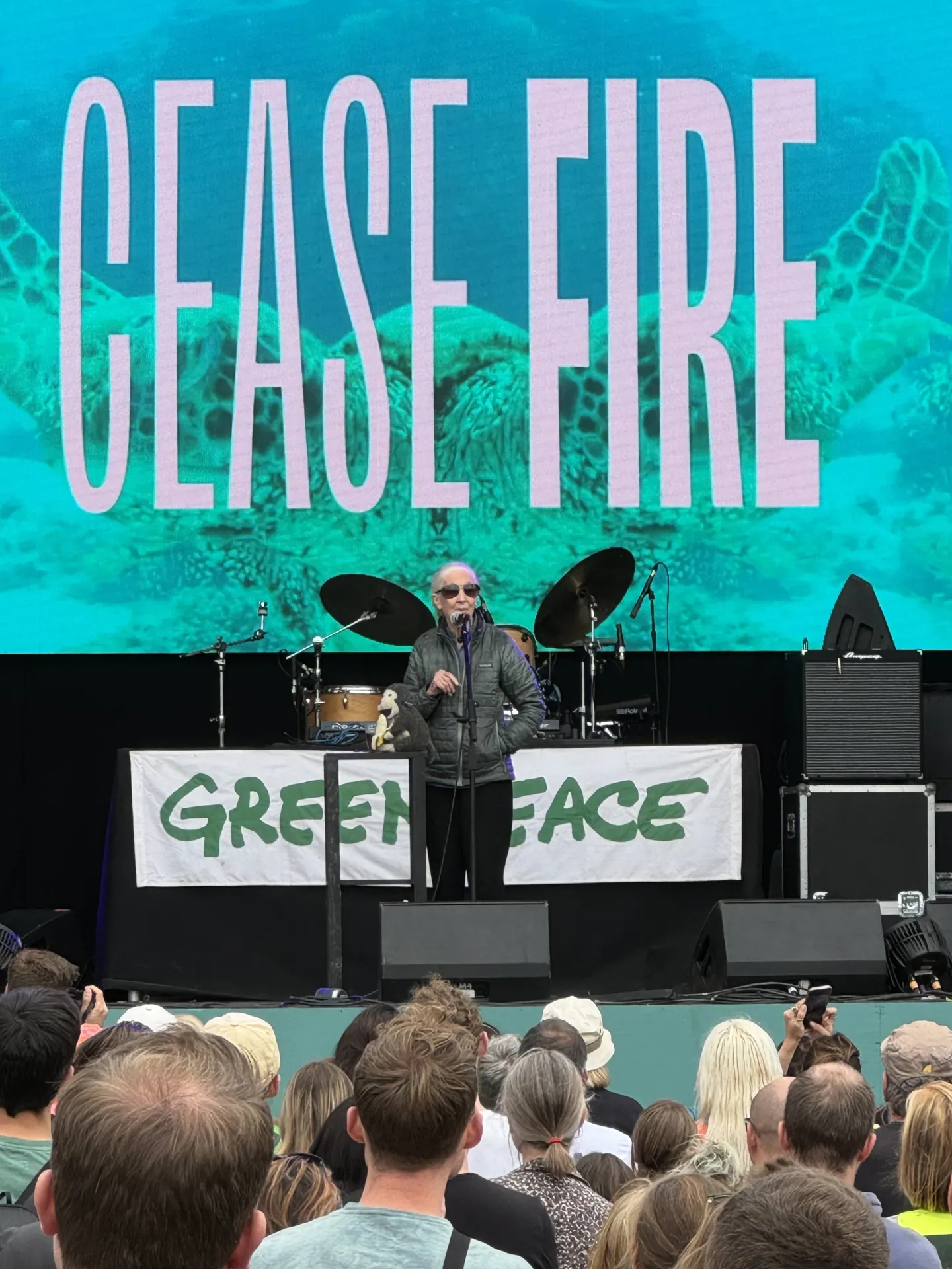 A person speaking on stage at a Greenpeace event with a large screen behind displaying the words CEASE FIRE and an image of a tiger