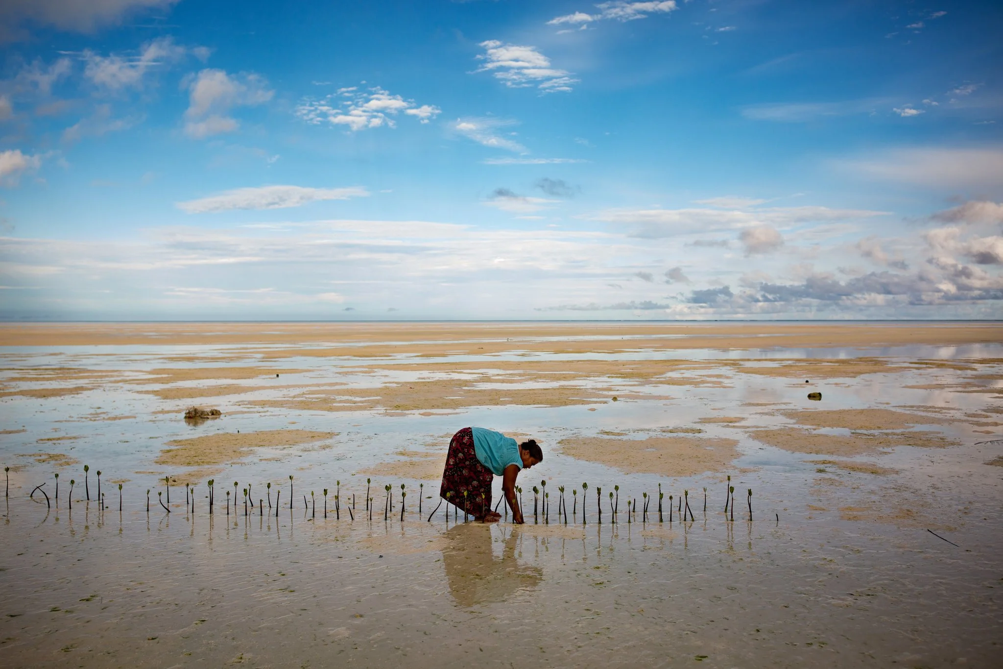 A woman planting mangroves on the tidal flats of Kiribati, photographed for At the Edge of Climate Change