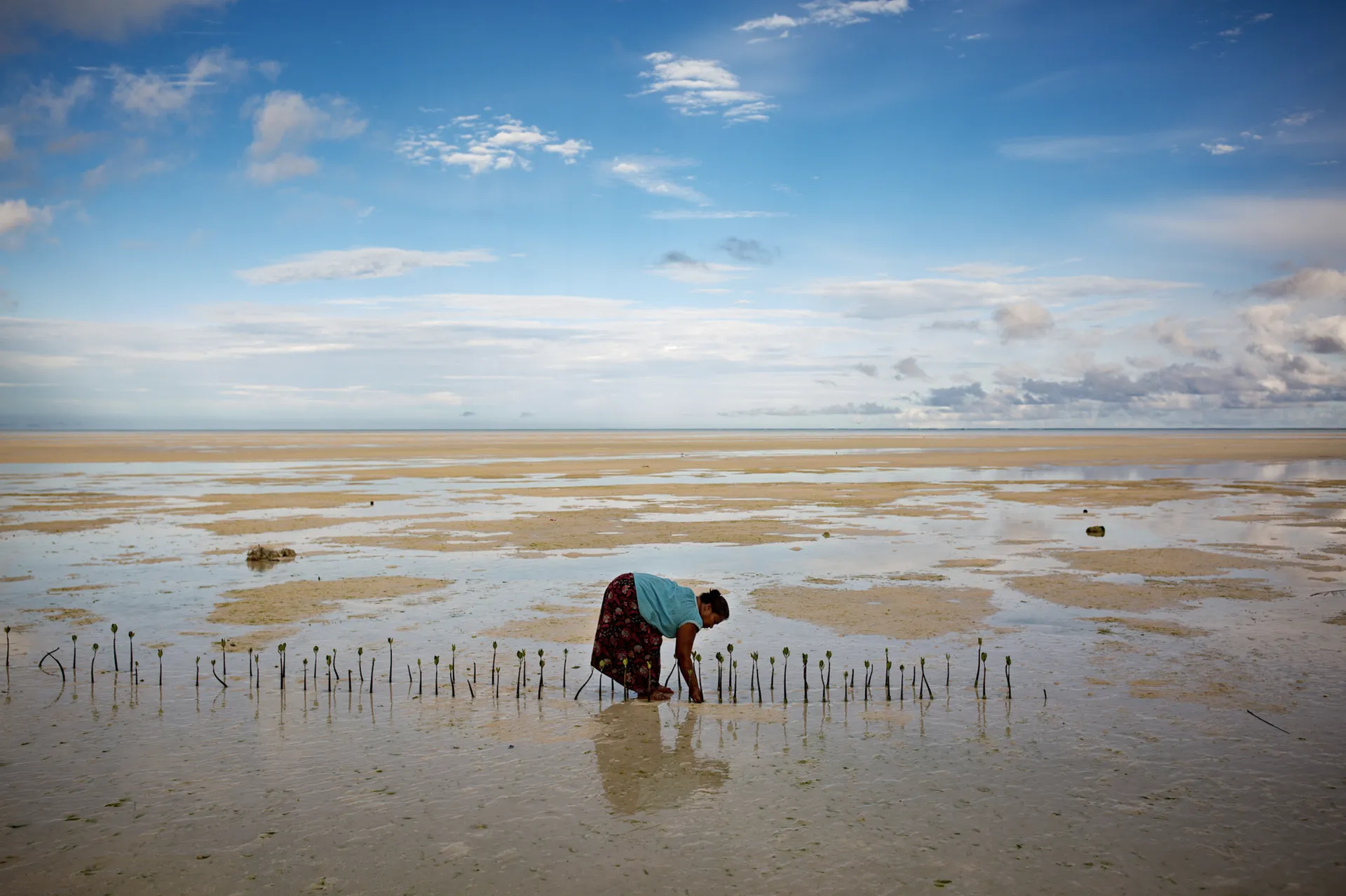 At the Edge of Climate Change campaign still