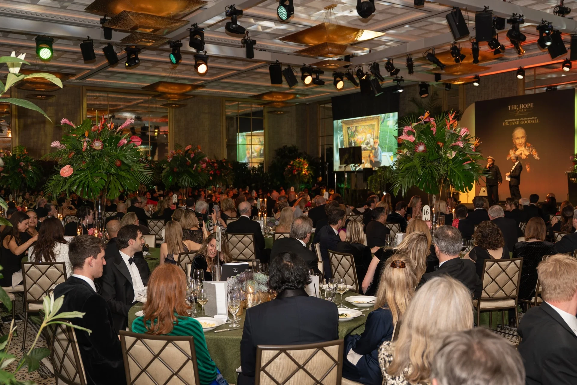 The Peninsula London ballroom during The Hope Gala, guests seated at dinner tables facing the stage backdrop celebrating the life and legacy of Dr Jane Goodall