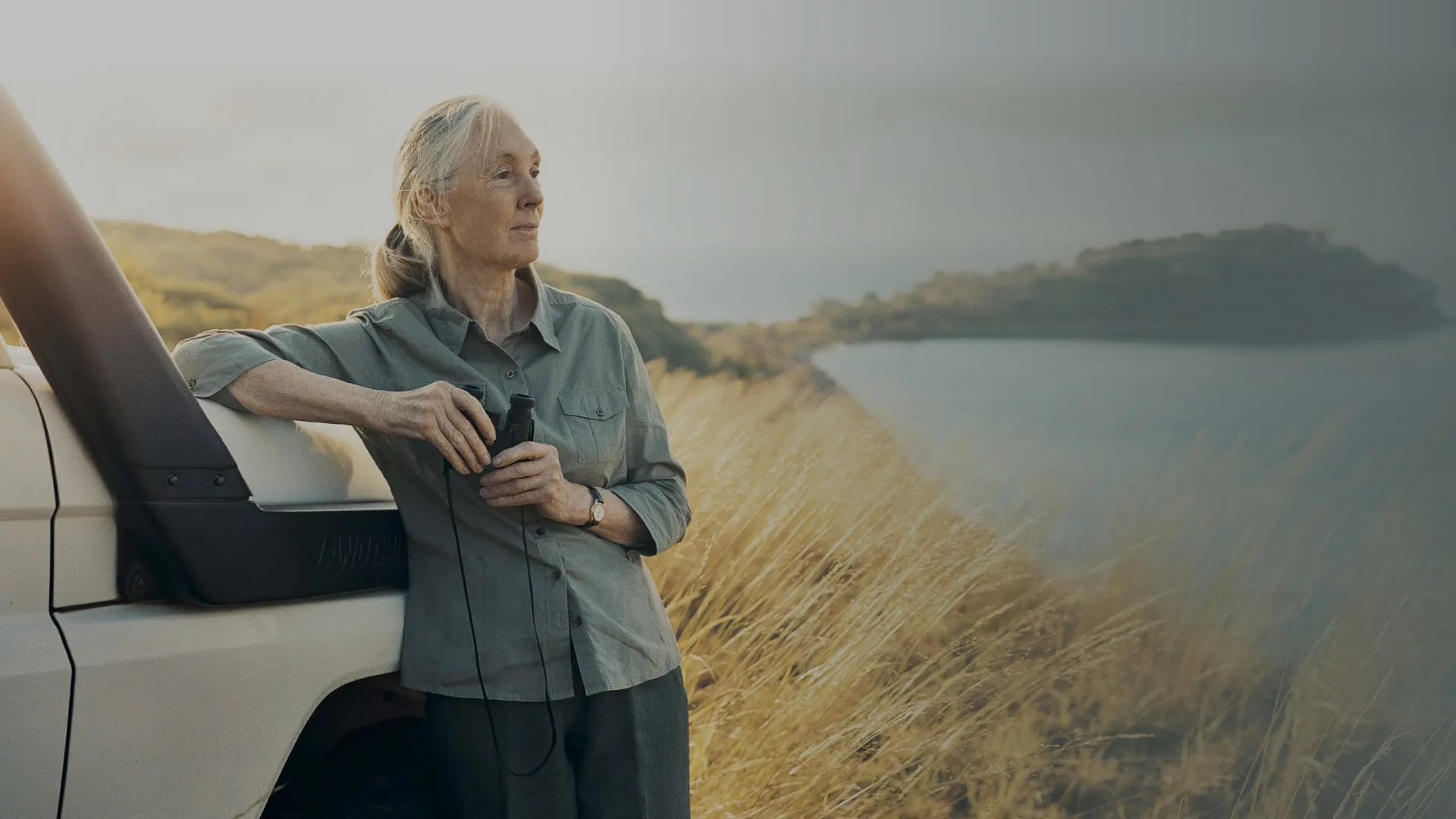 Dr Jane Goodall, banner for the Jane Goodall case study