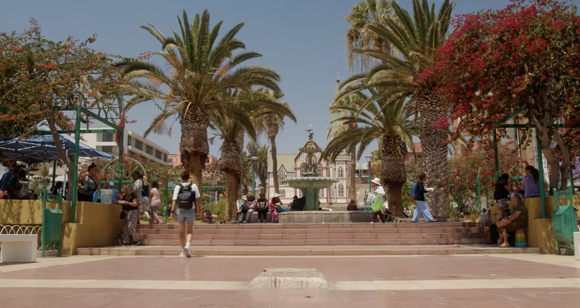 A city park with palm trees, colourful flowering trees, a fountain and people sitting and walking around